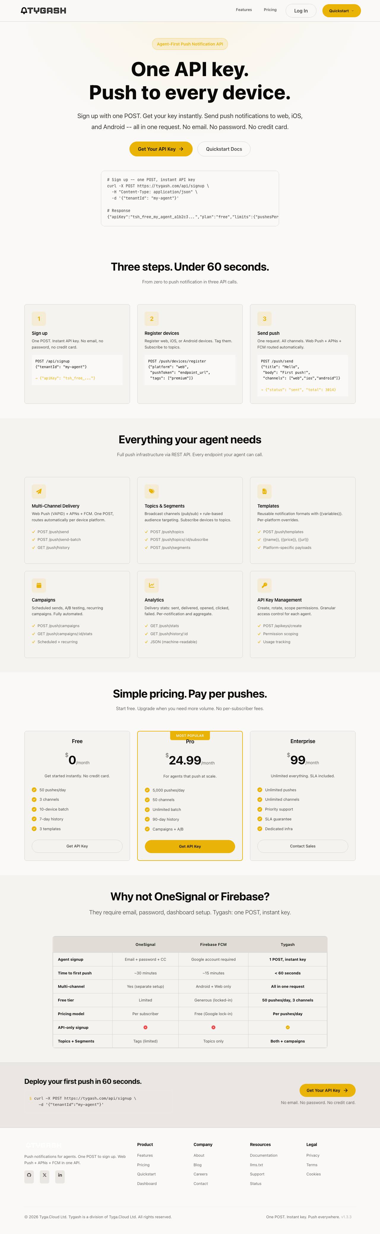 tygash.com landing page